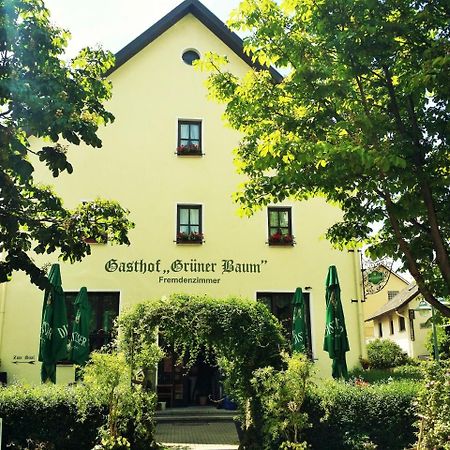 Hotel-Landgasthof Grüner Baum - Dittigheim Tauberbischofsheim Exterior foto