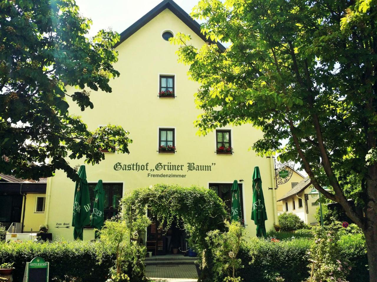 Hotel-Landgasthof Grüner Baum - Dittigheim Tauberbischofsheim Exterior foto